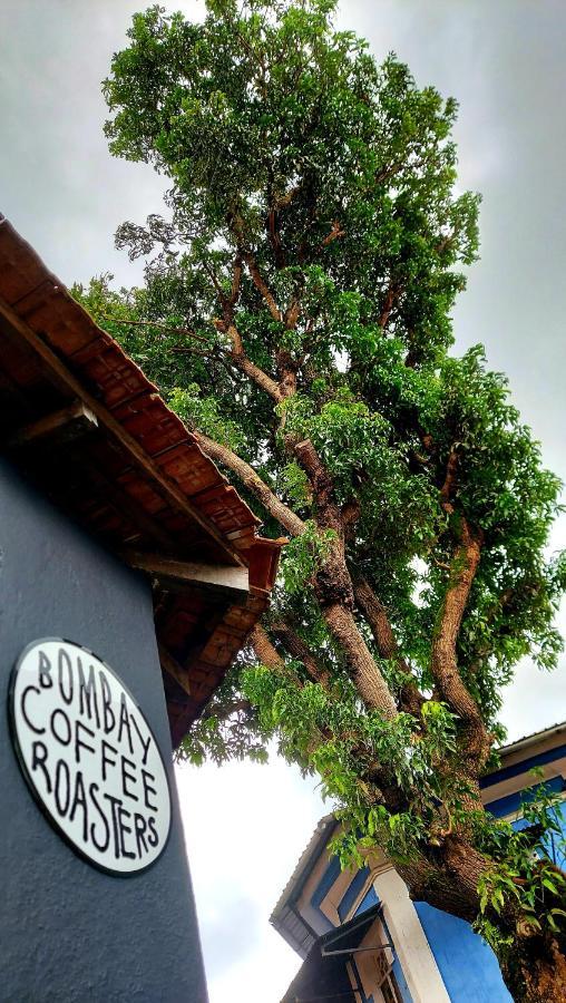 The Old Quarter Hostel *